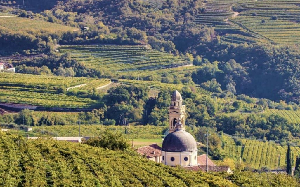 Vigneti terrazzati sulle colline veronesi, con la chiesa del paese